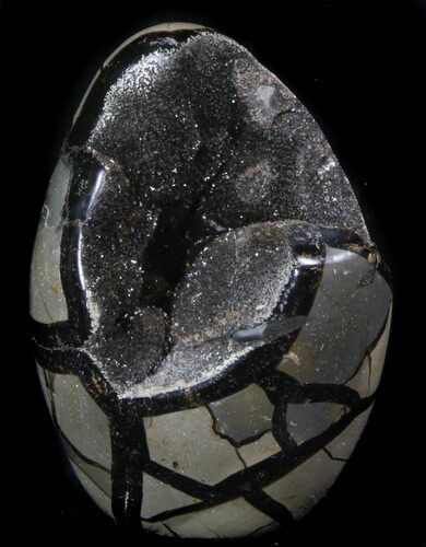 Polished Septarian Geode Sculpture - Black Crystals #37128